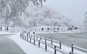 【冬季预告】等一场雪，赴汉江源的秦巴冬约缩略图