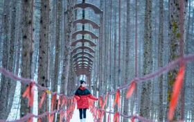 当紫柏山开始“留白”，一幅冰瀑为骨的冬日画卷正在酝酿…缩略图