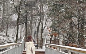 汉中又下雪了，太美了~缩略图