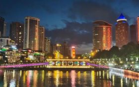 明年起，遛狗不拴绳最高拘10天！缩略图