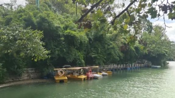 从黔到渝,风景一直在路上缩略图 从黔到渝,风景一直在路上缩略图