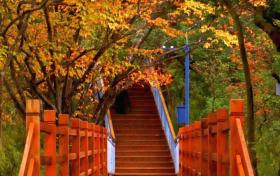 周末天气如何?陕西最新天气预报→缩略图 周末天气如何?陕西最新天气预报→缩略图