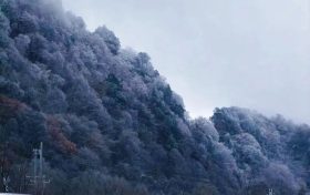 本轮寒潮将持续多久?何时能够回暖?缩略图 本轮寒潮将持续多久?何时能够回暖?缩略图