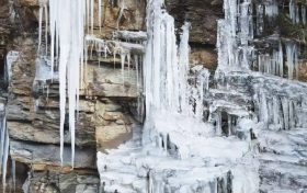 让你在朋友圈妥妥“C位出道”，快来瞧瞧冬日草川子有多好玩！缩略图