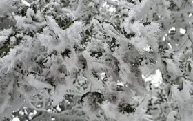 陕西新一轮雨雪降温要来！晴↗雨雪↘缩略图