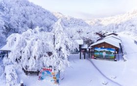 滑雪场+索道恢复运营!快去汉江源赏雪啦缩略图 滑雪场+索道恢复运营!快去汉江源赏雪啦缩略图