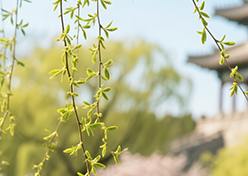 注意！十天高速新街子收费站引道实施交通管制→缩略图