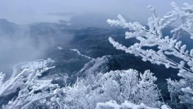 邀你赴一场石林之约,汉中一景区春节不打烊缩略图 邀你赴一场石林之约,汉中一景区春节不打烊缩略图