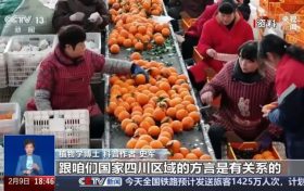 “pápá柑”还是“bābā柑”，都错？网友热议……缩略图