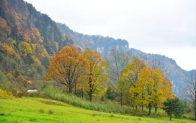 2026最新节假日安排缩略图