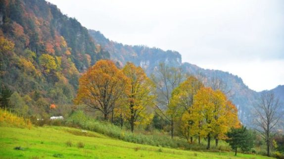 2026最新节假日安排缩略图 2026最新节假日安排缩略图