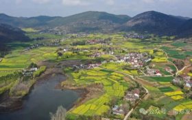 藏在南郑的春日顶流！缩略图