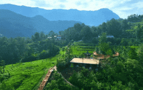 汉中市镇巴县楮溪源景区被确定为国家4A级旅游景区！缩略图