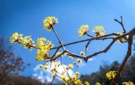 注意！汉台区前进西路与西二环路十字路口全封闭施工，请绕行缩略图