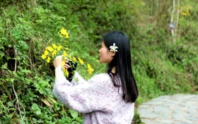 汉江源云海索道临时停运缩略图