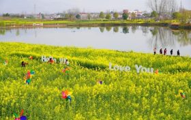 观花必看！汉中最新天气预报→缩略图