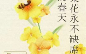 关于开行汉中客运枢纽站至皇塘水乡景区定制专线的公告缩略图