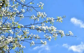 汉中多地景区推出优惠迎接首个春假缩略图 汉中多地景区推出优惠迎接首个春假缩略图