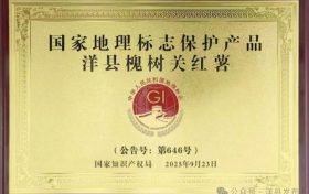 赞！洋县一农产品获得国家地理标志保护产品授牌缩略图