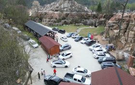 火爆！草川子景区清明假期圆满收官，人气拉满缩略图