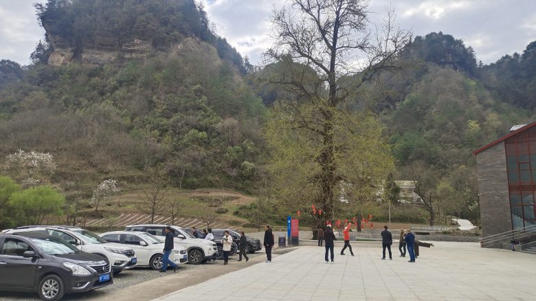 火爆!草川子景区清明假期圆满收官,人气拉满插图2 火爆!草川子景区清明假期圆满收官,人气拉满插图2