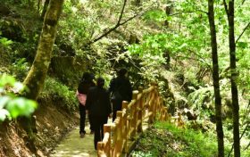 自己烧水喝和买桶装水，哪种更健康？缩略图