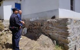 萌兽落难遇援手，这只“寒号鸟”获救啦！缩略图
