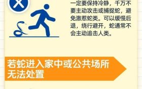 陕西消防提醒您遇蛇怎么办？缩略图