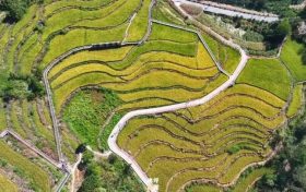 当稻浪染金，佛坪的秋天便写满山野诗意缩略图