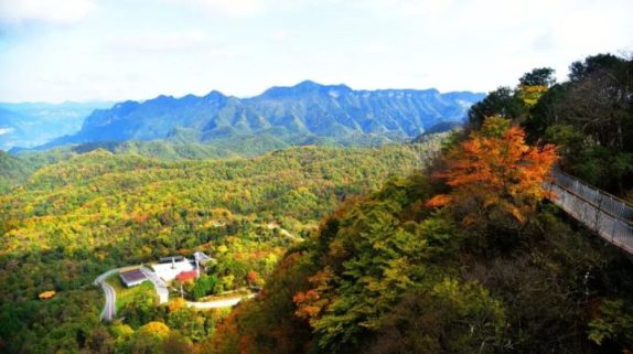 @所有人！草川子中秋国庆双节活动出炉缩略图