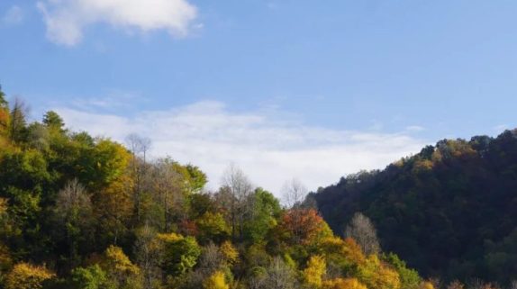 总投资约190.95亿元！G5京昆高速梁山至陕川界段改扩建启动勘察设计招标缩略图