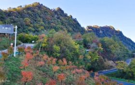 秦巴深山秋正好,登草川子九鼎山赏彩林、探石林缩略图 秦巴深山秋正好,登草川子九鼎山赏彩林、探石林缩略图