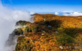 漫山红叶正当时！汉中市南郑区秋冬季票根经济优惠政策来袭→缩略图