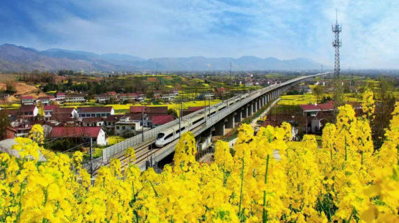 全省唯一！“最美油菜花海汉中旅游文化节”入选全国优秀典型案例缩略图