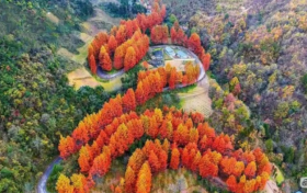 寻秋巴山深处,邂逅多彩镇巴→缩略图 寻秋巴山深处,邂逅多彩镇巴→缩略图